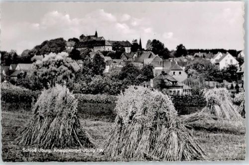 Bad Iburg Blick zum Schloß