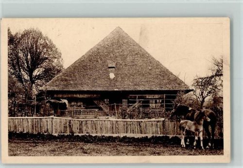 in der Schweiz Nr. 9132 - Berner Bauernhaus AK