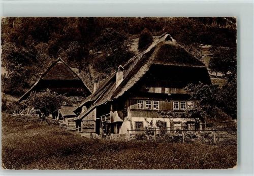 Kunstverlag Franz Walter Nr. 2 - Bauernhaus Schwarzwaldhaus