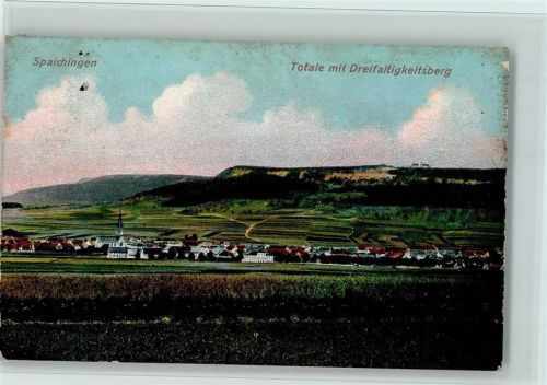 Spaichingen Gesamtansicht mit Dreifaltigkeitsberg