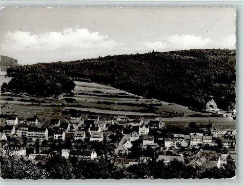 Bad Salzschlirf Luftaufnahme Teilansicht