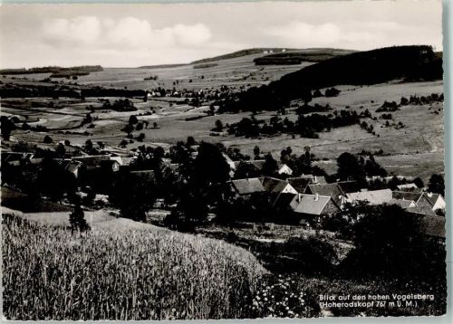 Hoherodskopf Blick auf den hohen Vogelsberg