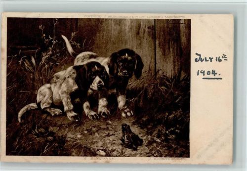 1904 Neugierige Hunde sehen einen Frosch AK