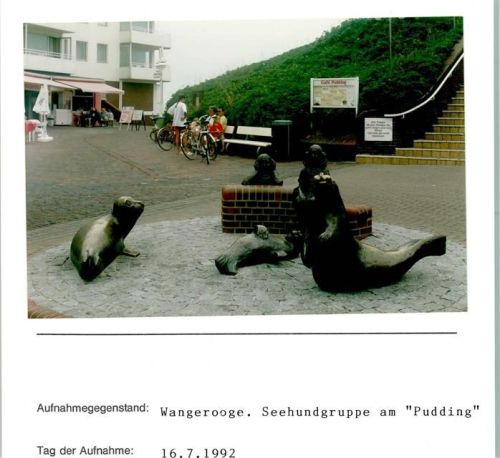 Wangerooge Seehundgruppe am Café Pudding Foto montiert auf Karton