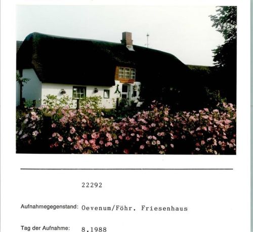 25938 W2270 Oevenum FOTO KEINE AK Friesenhaus Foto montiert auf Karton