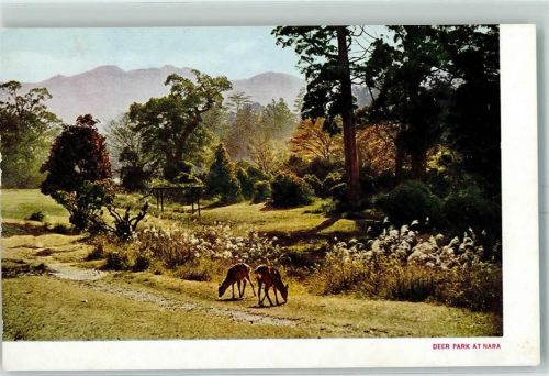 Nara Deer Park