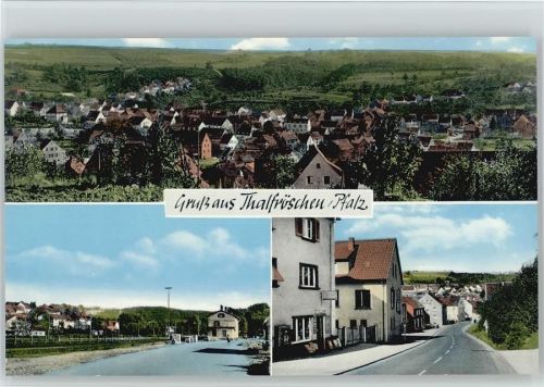 Thalfröschen