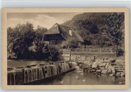 Schwarzwald Idylle am Bach und Wehr