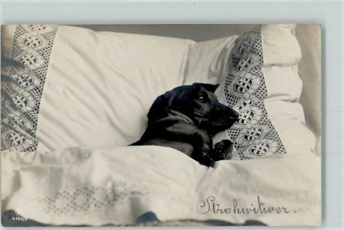 1912 Serie 4765-2 Strohwitwer - Dackel liegt im Bett AK