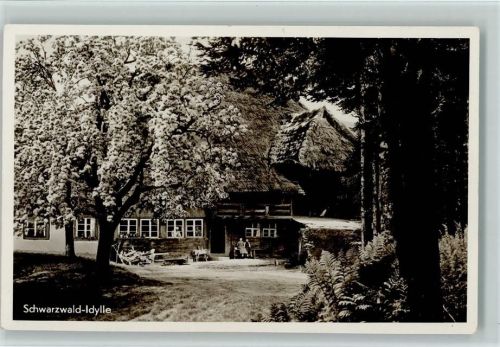 1938 Schwarzwald Idylle - blühender Baum AK