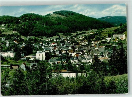 Bad Laasphe Gesamtansicht