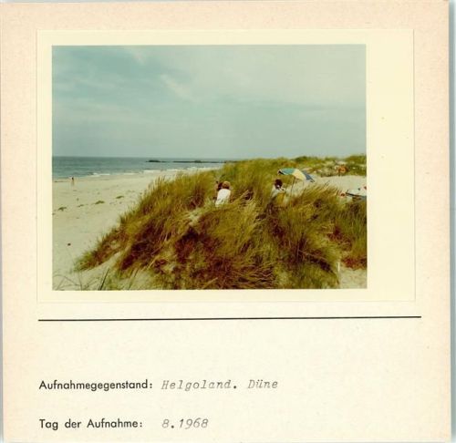 Helgoland Düne Foto montiert auf Karton