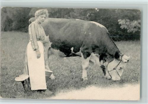 1906 Bäuerin mit Melkstuhl und Kuh