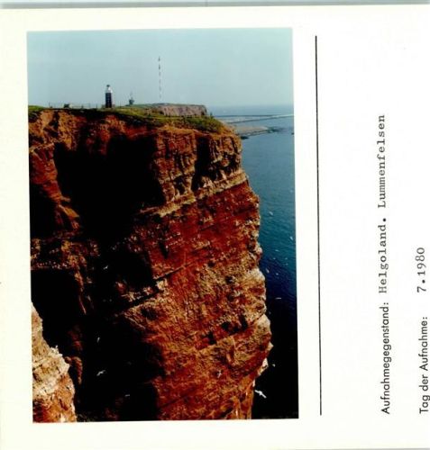 Helgoland Westküste Lummenfelsen Foto montiert auf Karton