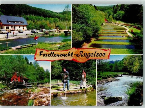 Neuenbürg Forellenzucht Angelsee