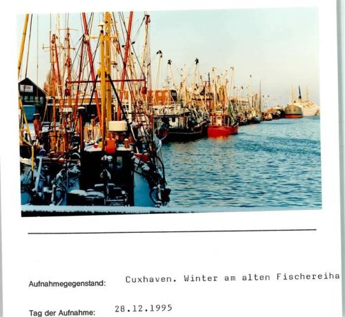 Cuxhaven Winteraufnahme Alter Fischereihafen Foto montiert auf Karton