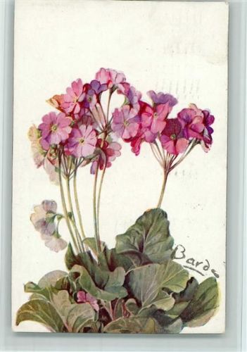 sign Barde - Color Paris Nr. 556 Primevere 1920 AK Blumen Künstler Künstlerkarte