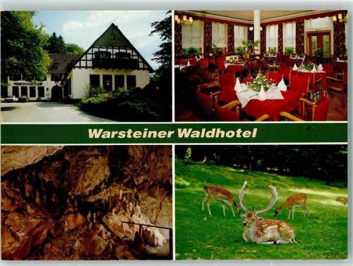 Warstein Rückseite mit Abschürfungen bzw Kleberesten Warsteiner Waldhotel Tropfsteinhöhle