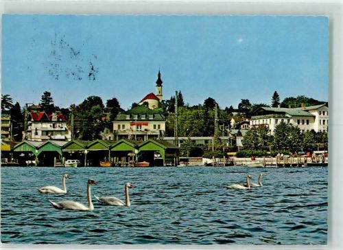 Starnberg Starnbergersee Schwäne