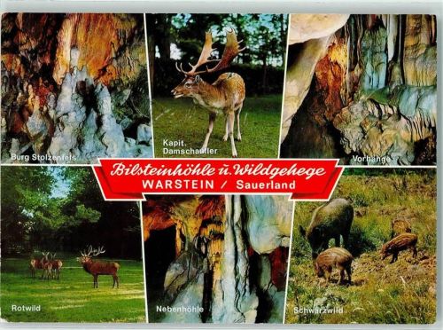 Warstein Jagdtiere Bilsteinhöhle Wildgehege