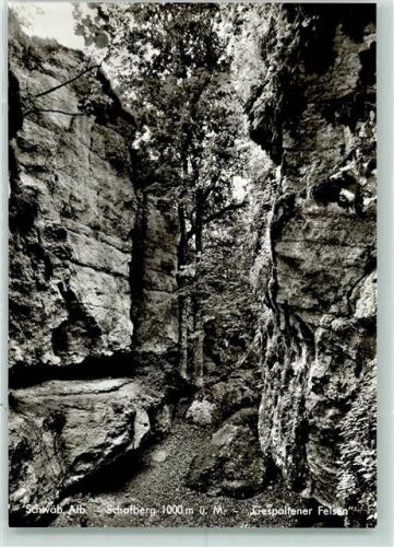 Weilstetten Schwäbische Alb Schafberg Gespaltener Felsen Rückseite mit Abschürfungen bzw Kleberesten