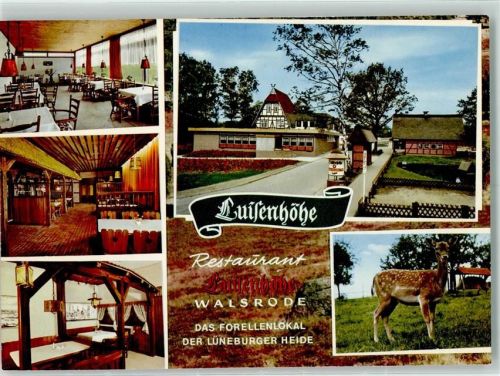 Walsrode Gasthaus Luisenhöhe Reh
