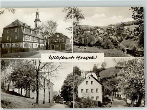 Wildbach