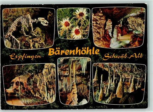 Erpfingen Bärenhöhle Skelett