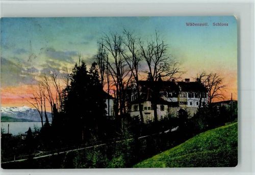 Wädenswil 1911 Schloss Abendrot
