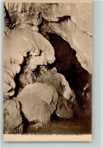 Remouchamps Grotte de emouchamps Les Champignons Geants