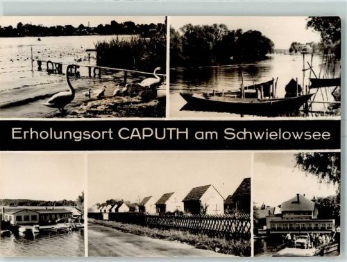 Caputh Schwielosee Fähre Schwäne