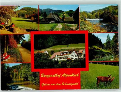 Endenburg Gasthaus Alpenblick Schwarzwaldhäuser