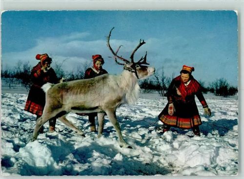 Lappen und Rentier Winter