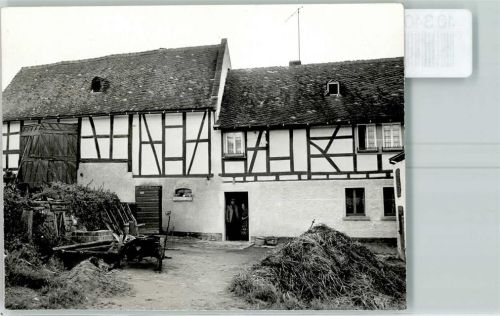 Flensburg Bauernhaus Bauern Misthaufen Pferdekarre Foto keine AK