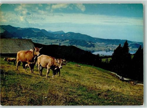 Sattelegg Blick auf Sihlsee Pialtus und Rigi