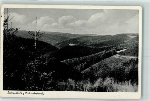 Brilon-Wald