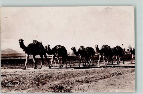 1936 Real Photo CAP 1154 Une Karawane