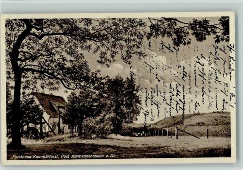Assmannshausen Forsthaus Kammerforst