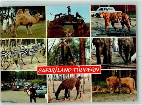 Tüddern Safarieland Zebras Tiger Elefanten Löwen
