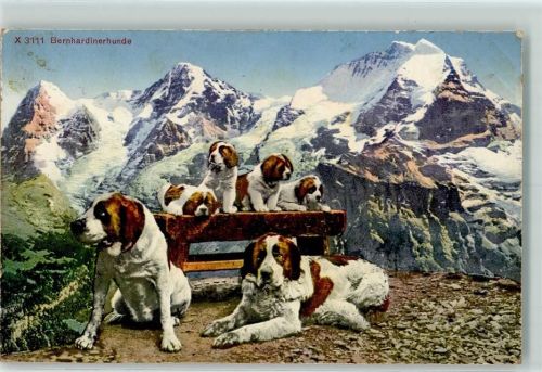 1924 Handefamilie mit Welpen AK