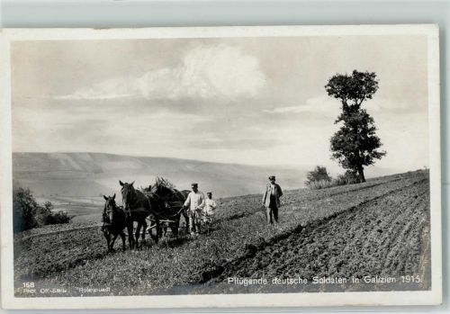 Lemberg WK I Beruf Bauern