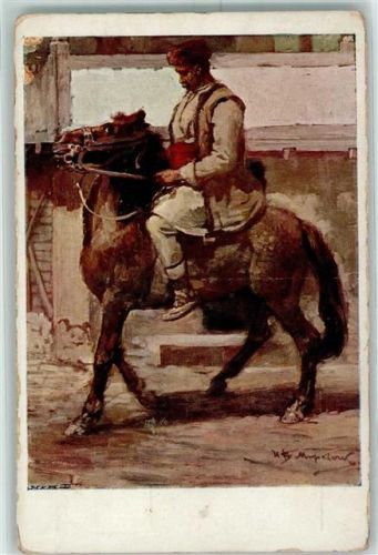 Sofia Bauer Reiter Zaribrod
