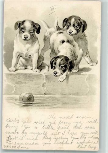 1901 Serie 8126 Hunde Ball spielen AK