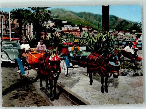Rapallo Passeggiata in carrozzella Esel