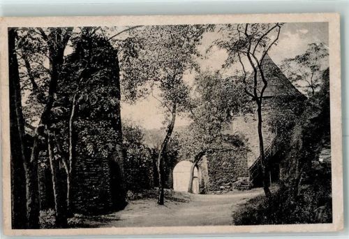 Elsterberg Burgruine Eingangstor mit Ringmauer und Wachttürmen