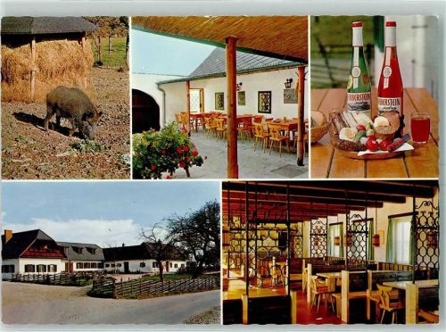 Sankt Johann Buschenschank Wildschwein Terrasse Geranie Wein Vesperplatte Gastraum