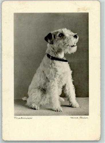Fotografie Max Baur Nr. 308 AK