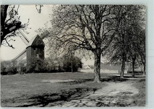Werder Windmühle