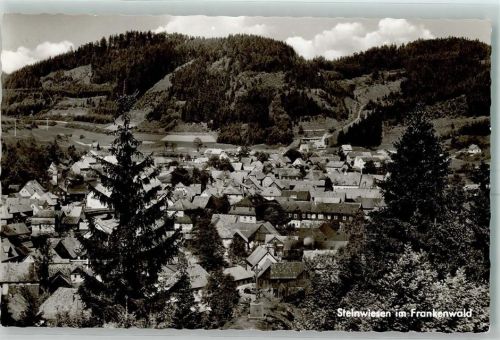 Steinwiesen
