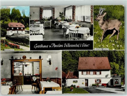 Miltenberg Gasthaus Wiesental Inh. Berthold Belius Blumen Gastraum junger Hirsch Zinn Krüge Geweih